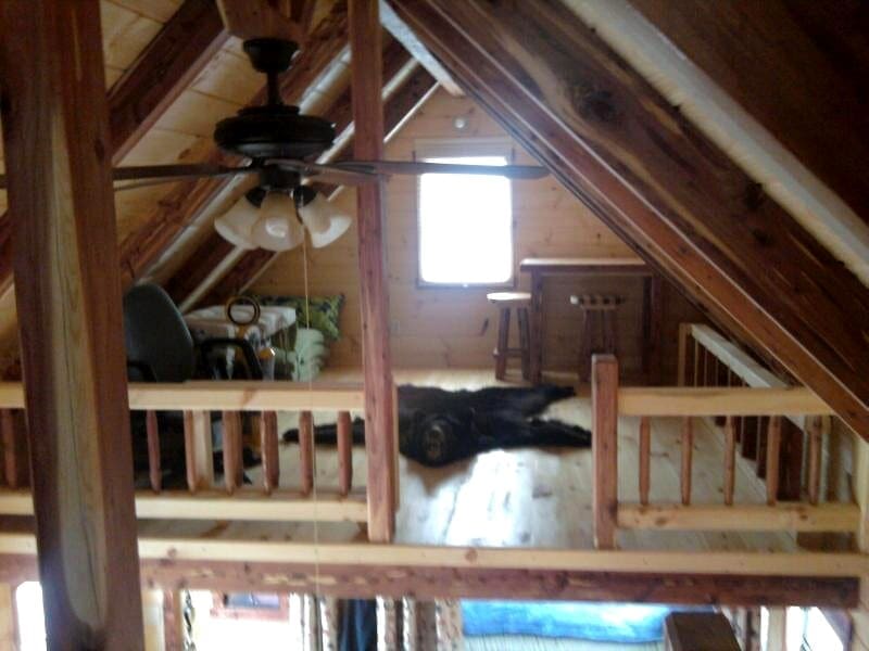Step Inside the XTREME Cottage by Trophy Amish Cabins