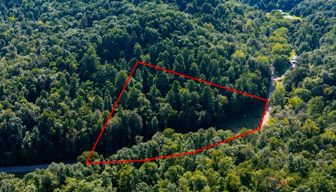 A Closer Look Inside This Secluded Rustic Cabin on 3 Wooded Acres for $59,900